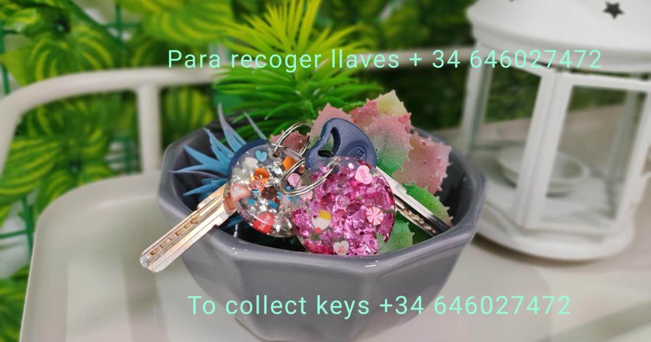 Habitacion Flamingo, Entrada Privada Y Bano Privado En Suite By Flamingo House, No Fumadores アレシフェ エクステリア 写真